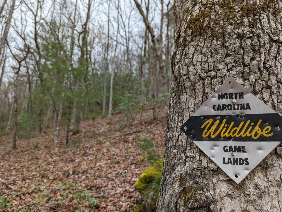 Hidden Hollow Bed And Breakfast Otto Экстерьер фото