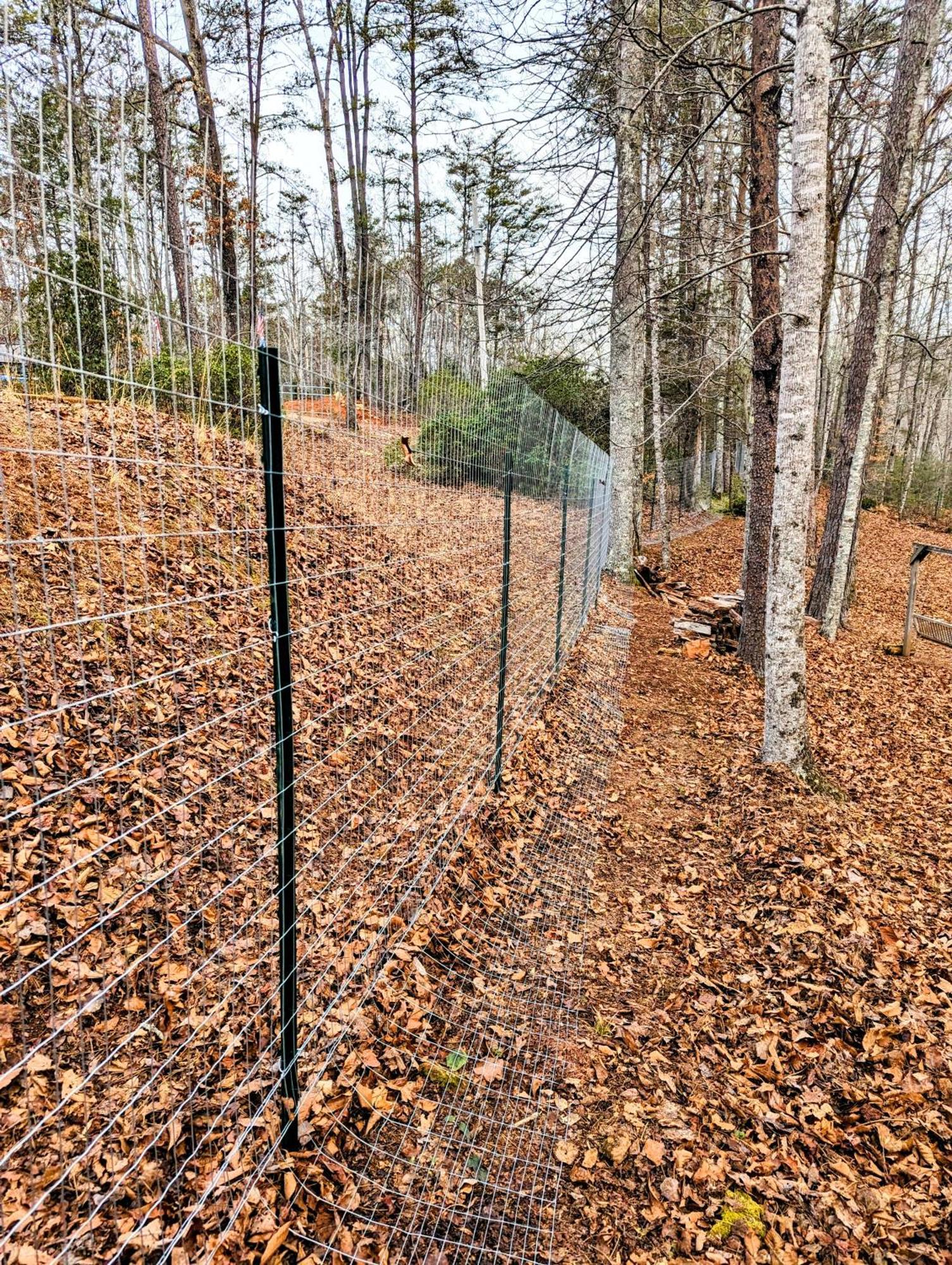 Hidden Hollow Bed And Breakfast Otto Экстерьер фото